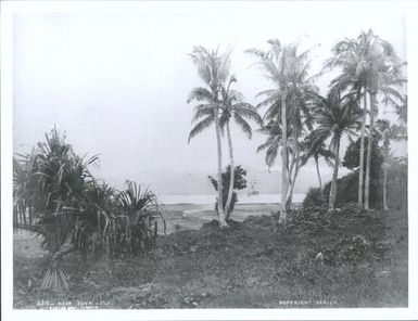 Near Suva, Fiji