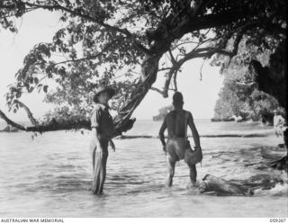 TAMI, NEW GUINEA, 1943-10-24. NG2260 WARRANT OFFICER II. H.R. WALES OF THE AUSTRALIAN AND NEW GUINEA ADMINISTRATIVE UNIT AND A NATIVE CONSTABLE WADING ALONG THE FORESHORES OF TAMI ISLAND