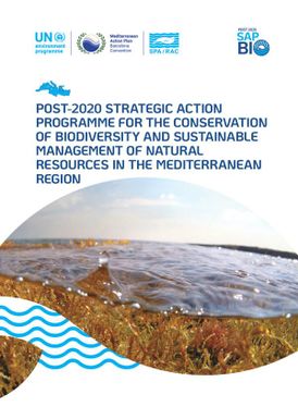 Post-2020 Strategic Action Programme for the Conservation of Biodiversity and Sustainable Management of Natural Resources in the Mediterranean Region