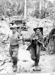Aitape Area, New Guinea. 1945-02. Laying new signal wire through the washed-out mouth of a river are Private Len Kelly of Burnie, Tasmania and Sergeant Ken Gardner of Alberton, South Australia