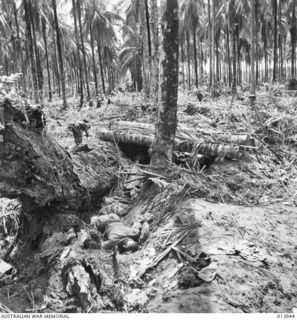 1942-12-28. PAPUA. AUSTRALIAN-MANNED GENERAL STUART M3 LIGHT TANKS ATTACK BUNA. THESE PICTURES WERE TAKEN DURING THE ATTACK. AFTER THE FIRST WAVE OF THE TANK ATTACK AT BUNA HAD PASSED. IN THE ..