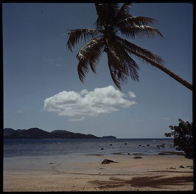 Fiji, Kadavu Island. A game of handball on the beach with coconuts.Women collecting seafood with nets in the water of the lagoon