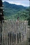 Man and stick fence with pigs in a hamlet