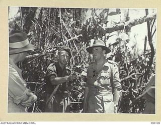 COMPTON RIVER AREA, BOUGAINVILLE. 1945-03-31. LORD WAKEHURST, GOVERNOR OF NEW SOUTH WALES (2), TALKING WITH PRIVATE A. BAMBACK, 26 INFANTRY BATTALION (1), DURING HIS VISIT WITH LADY WAKEHURST AND ..