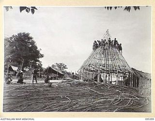 KIARIVU, NEW GUINEA, 1945-08-12. AUSTRALIAN NEW GUINEA ADMINISTRATIVE UNIT NATIVES AT WORK ON THE CIRCULAR ROOF OF THE HUT TO BE USED AS AUSTRALIAN NEW GUINEA ADMINISTRATIVE UNIT HEADQUARTERS IN ..