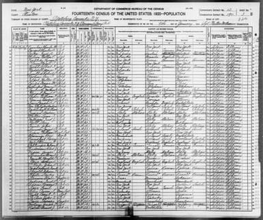 New York: CLINTON County, Enumeration District 190, Sheet No. 3B