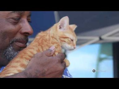 PBS Hawaii - HIKI NŌ Episode 719 | Kapaa Middle School | Cat Project