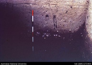 SAD/III, West profile, dark