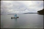 People canoeing