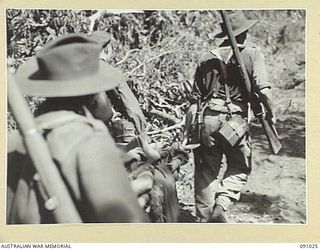 BOUGAINVILLE. 1945-04-17. A 24 INFANTRY BATTALION CASUALTY BEING CARRIED BY STRETCHER BEARERS FROM THE HATAI JUNCTION - BUIN ROAD AREA DURING THE BATTALION'S ATTACK