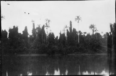 Ramu Turrets and  trees silhouetted on a river bank, Ramu River, New Guinea, 1935 / Sarah Chinnery