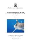 The biology and ecology of the tiger shark (Galeocerdo cuvier) on the east coast of Australia