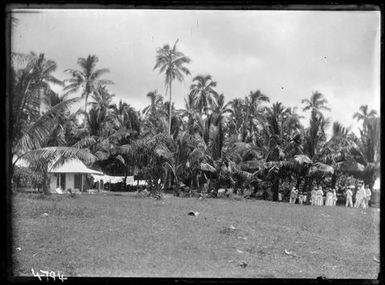 Samoan Domestic Scene