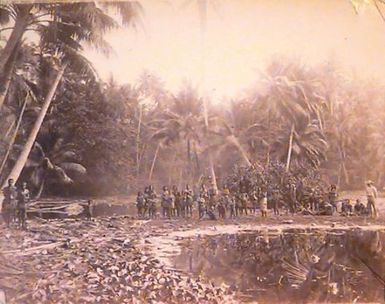 Bush Natives, Pleasant Island