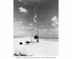 Remains of a beach marker still standing after Operation Crossroads, Bikini Island, summer 1947