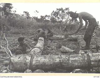 EVAPIA RIVER, NEW GUINEA, 1944-03-15. MEN OF THE 2/4TH FIELD COMPANY, ROYAL AUSTRALIAN ENGINEERS PUT FINAL TOUCHES TO THE MAIN SUPPORT FOR A SUSPENSION BRIDGE SPANNING OVER 200 FEET ACROSS THE ..