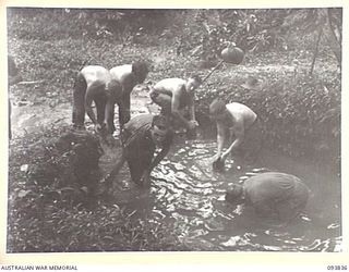 YAMIL AREA, NEW GUINEA, 1945-07-06. PIONEERS OF THE 2/5 INFANTRY BATTALION HAVING A CLEAN UP IN A NEARBY STREAM AFTER A NIGHT'S ACTION