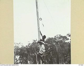 SONG RIVER, FINSCHHAFEN AREA, NEW GUINEA. 1944-03-26. A NATIVE ATTEMPTING TO REACH A STICK OF TOBACCO SUSPENDED FROM A POLE DURING FESTIVITIES HELD LIN THE AUSTRALIAN NEW GUINEA ADMINISTRATIVE UNIT ..