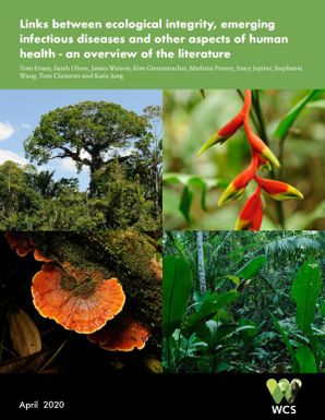 Ecosystem services for human health in Oceania