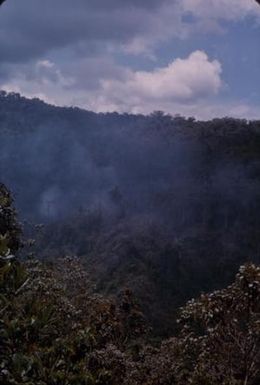 [Landscape of Papua New Guinea]