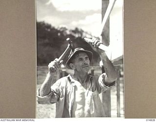 1943-05-10. NEW GUINEA. PHOTO SHOWS CIVIL CONTRIBUTION CORPS WORKER MR J. C. COOPER 57 OF SYDNEY ENGAGED IN THE CONSTRUCTION OF A BUILDING FOR THE ALLIED ARMY. COOPER SERVED IN THE MERCHANT MARINES ..