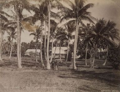 Houses of Europeans, Tongatabu [Tongatapu]