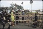 Local market