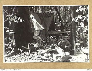 NEW GUINEA. 1943-11-28. VX34435 LANCE CORPORAL W. G. BRADBURY (FROM PRESTON, VIC) OF HEADQUARTERS, 24TH AUSTRALIAN INFANTRY BRIGADE, EMERGING FROM THE UNDERGROUND DUGOUT HOUSING THE SIGNALS OFFICE, ..