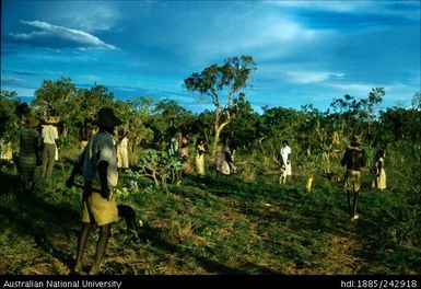 Aboriginal group with tools