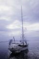 French Polynesia, 'Nomad' sailboat anchored off shore of Tahiti Island