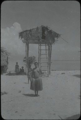 House on the beach : Bwalalea village, D'Entrecasteaux Islands, Papua New Guinea, 1956-1958 / Terence and Margaret Spencer