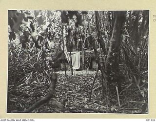 KARAWOP, AITAPE-WEWAK SECTOR, NEW GUINEA. 1945-04-29. A GROUP OF ABANDONED JAPANESE HUTS BEING APPROACHED BY A PATROL FROM A COMPANY, 2/1 INFANTRY BATTALION