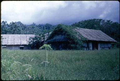 Arawa homestead (1) : Bougainville Island, Papua New Guinea, April 1971 / Terence and Margaret Spencer