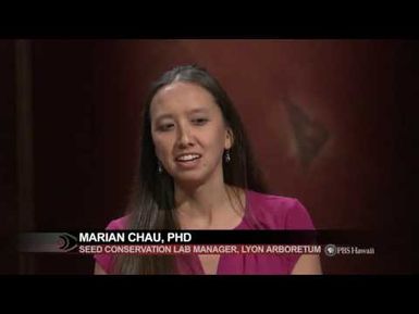 Protecting What’s Ours: Can We Save Our Threatened Ecosystems? | Insights on PBS Hawai'i