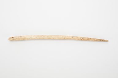Sau