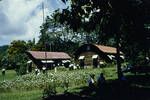 Tavii [Tavui] Girls' Residential School, Rabaul District