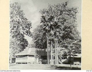 LAE, NEW GUINEA. 1944-09-15. THE BATTLE ROOM, HEADQUARTERS NEW GUINEA FORCE