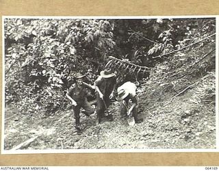 CANNING'S SADDLE, NEW GUINEA. 1944-01-21. NX168546 PRIVATE F.G. BELLINGHAM (1) AND PERSONNEL OF THE 2/2ND PIONEER BATTALION CUTTING STEPS IN A STEEP TRACK TO MAKE IT EASIER FOR THE STRETCHER ..