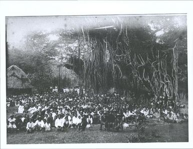 'Gathering of Natives with banyan tree in background'