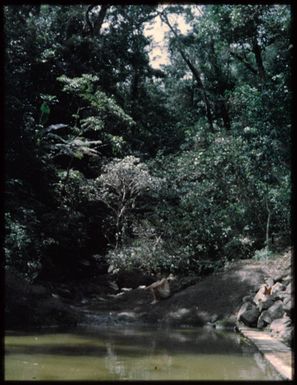 Vomo Island?, Fiji, 1974