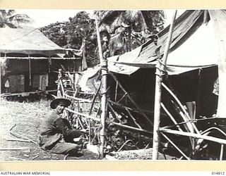 1943-05-07. NEW GUINEA. MILNE BAY. AIRCRAFTMAN I JACKSON OF MACKAY, QLD, BUILDS A JUNGLE FENCE AROUND HIS HUT AT MILNE BAY. (NEGATIVE BY N. BROWN)