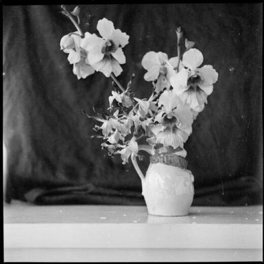 Mixed flowers in a Toby jug, Rabaul [?], New Guinea, ca. 1936 / Sarah Chinnery