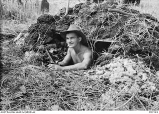 CAPE WOM, WEWAK AREA, NEW GUINEA. 1945-05-09. PRIVATE R. WATERS, 2/11 INFANTRY BATTALION, TAKING SHELTER IN A SPECIALLY ROOFED FOXHOLE FROM ANTI-PERSONNEL SHELLS WITH WHICH THE JAPANESE SHELLED ..
