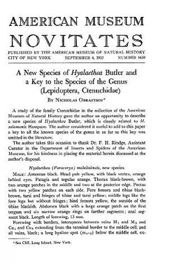A new species of Hyalaethea Butler and a key to the species of the genus (Lepidoptera, Ctenuchidae)