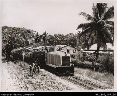 Cane locomotive hauling cane