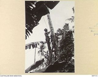 RABAUL, NEW BRITAIN. 1945-09-25. A MEMBER OF B SECTION, 11 DIVISION SIGNALS, AT WORK