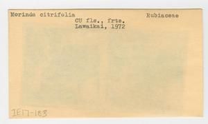 [Morinda citrifolia in Hawaii, envelope IE17-183]