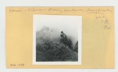 [Steaming banks along Chain of Craters Road in Hawaii, envelope IE26-098]