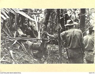 CANNING'S SADDLE, NEW GUINEA. 1944-01-21. TROOPS OF THE 2/12TH INFANTRY BATTALION INSPECTING A JAPANESE DUGOUT ON MOUNT PROTHERO AFTER THE DEFEAT OF THE ENEMY FORCES IN THE AREA