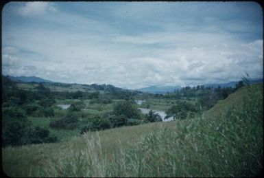 Scene of Wahgi River below Minj Station : Waghi Valley, Papua New Guinea, 1954 / Terence and Margaret Spencer